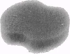 smallenginesprodealer-120260121165920536272