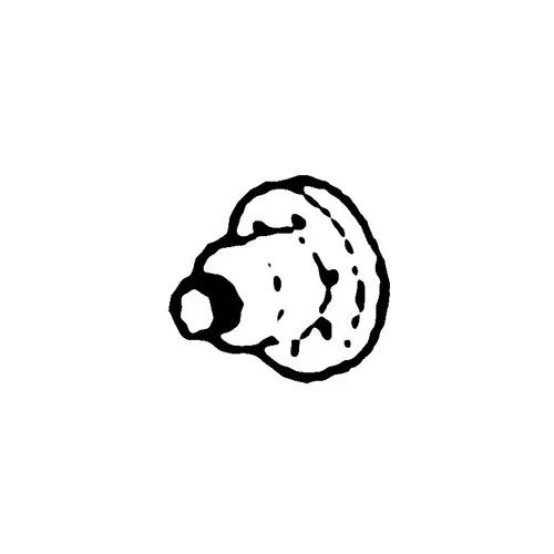 smallenginesprodealer-120260121203421612228