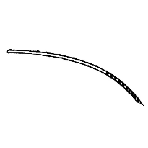smallenginesprodealer-420260121232329665436